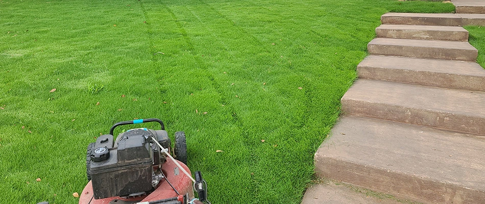 Mowing patterns added to lawn during service in Rockwall, TX.
