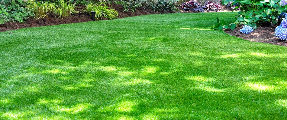 Healthy lawn in Rose Hill, TX.